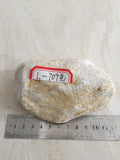 翡翠原石 NO.5 實拍圖 01