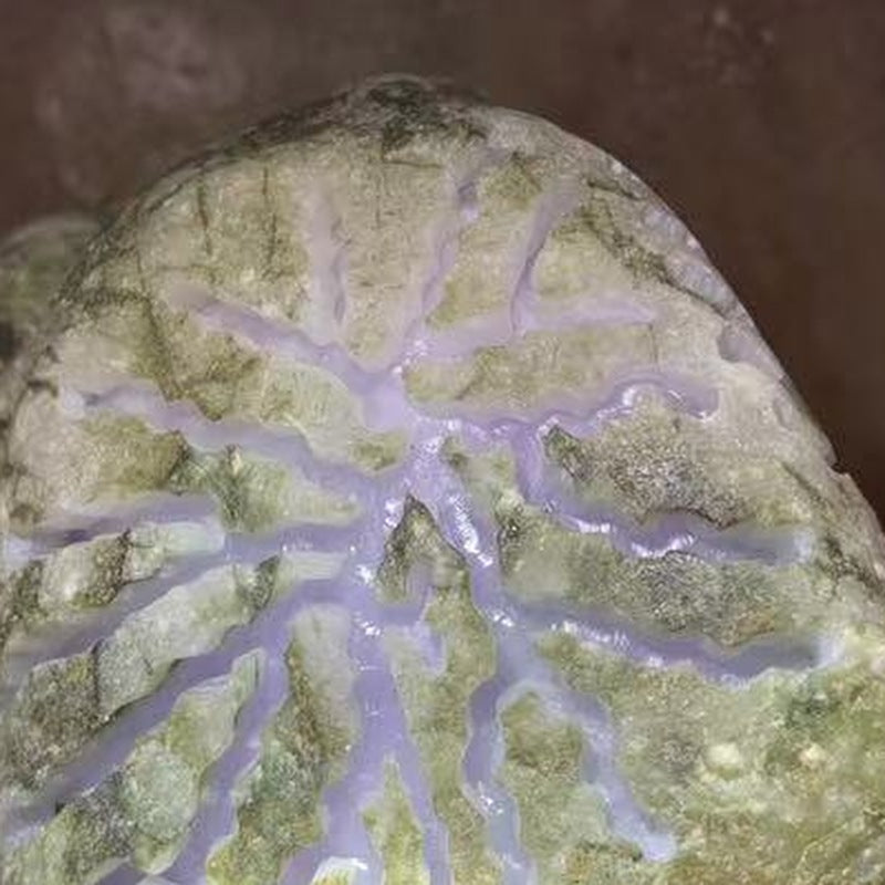 NO.K5 開窗料 天然翡翠原石